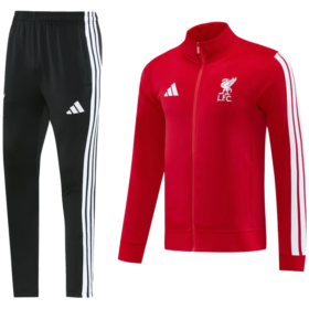 Liverpool 02
